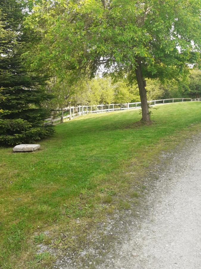 Auverg'Nature Chambre Auvergnate Espinasse Zewnętrze zdjęcie